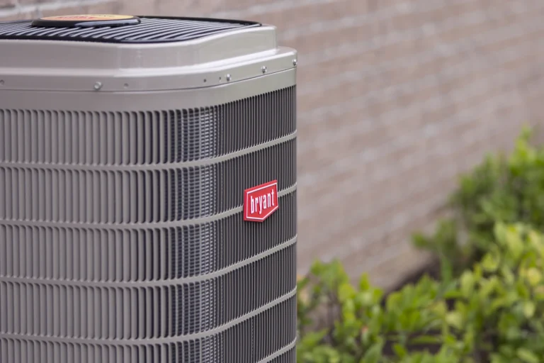 Bryant evolutionV closeup 1