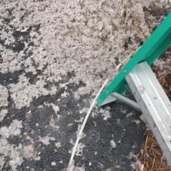 image of dryer vent 1